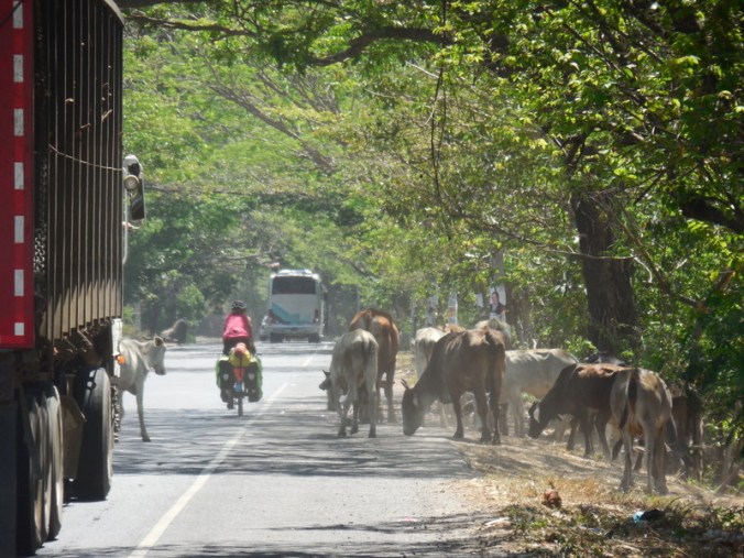 Traffic jam El Salvador style 2