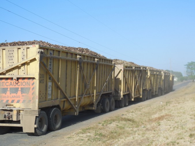We are back in cane country - 5 trailers on that truck!