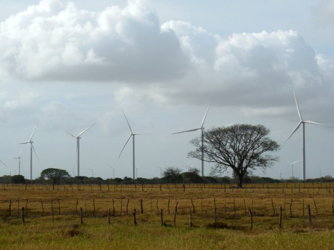 Wind farm 1