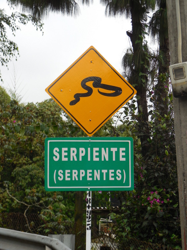 Animal warning - snake