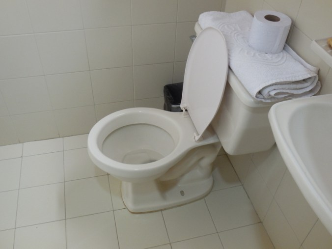 Our toilet