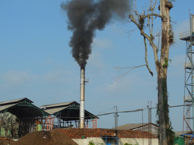 Palm date processing plant