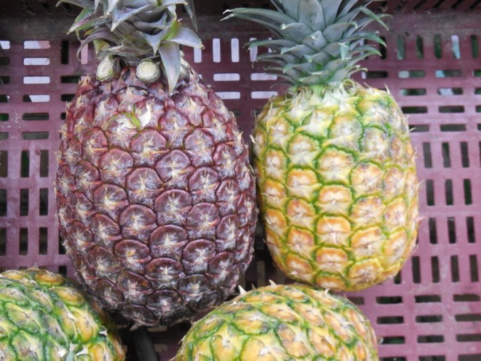 Red and normal pinapples