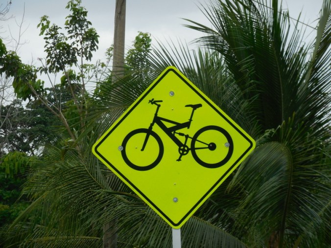 Super detailed bike warning - dual suspension