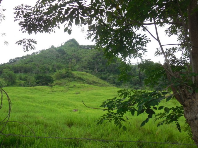 View from a control point