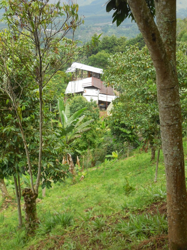 View of plantaion house