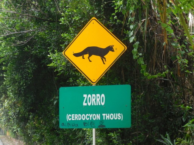 Zorro - fox sign 1