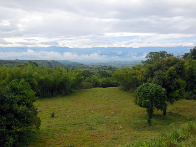 Andes in the distance now - for a few days