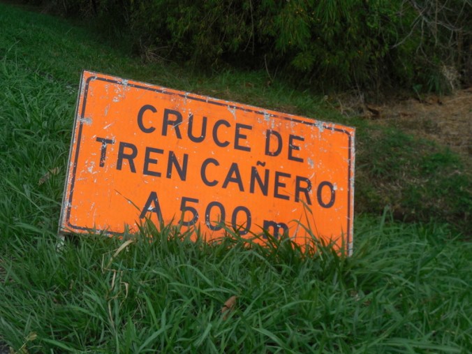 Sugar cane country
