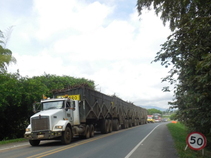 Sugar cane truck
