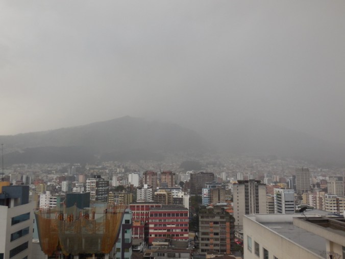 Verical garden 10 hours later