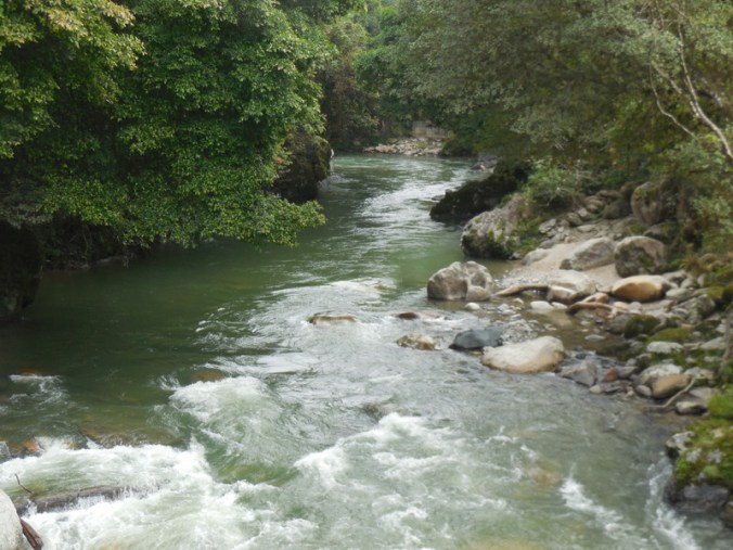 Andes river 2
