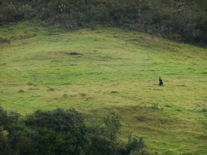 Long walk to the outhouse