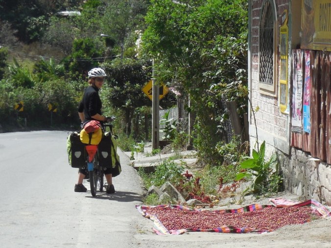 Nancy and coffee drying 2