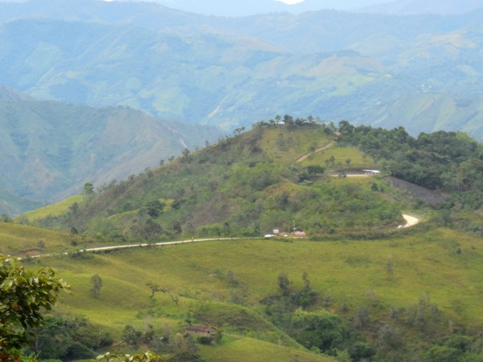 Our road, looking back 2