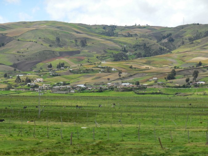 Small holdings crops 2