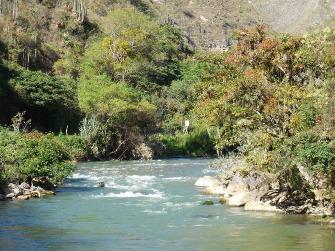 Utcubamaba River in the morning 4