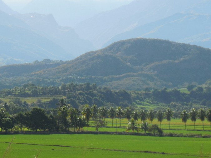 Utcubamba River rice fields 8