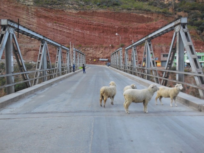 Bridge in IIzcuchaca with sheep
