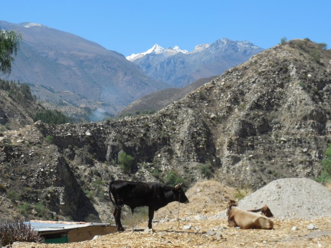Cordillera Blanca Mountain view 4