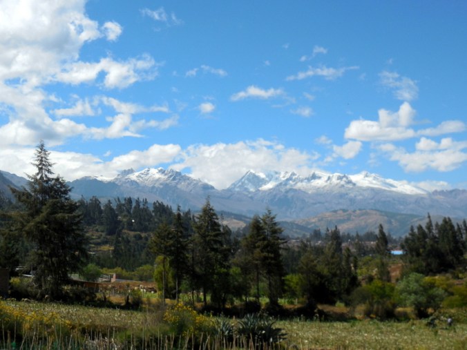 Cordillera Blanca Mountain view 4