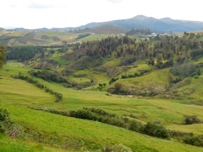 Farm land at 3200 meters