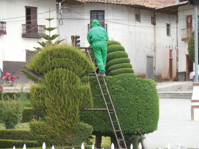 Huamachuco topiary 7