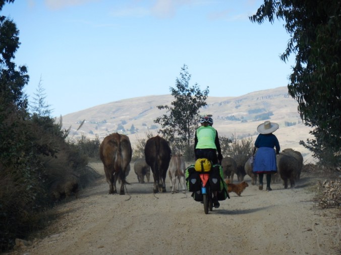 Nancy and the traffic
