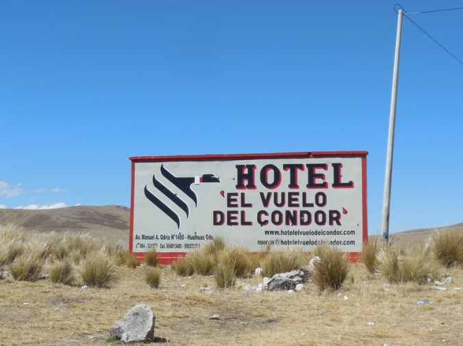 Never did see the actual hotel