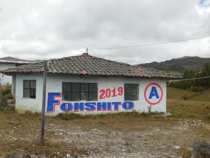 Political house paint 3