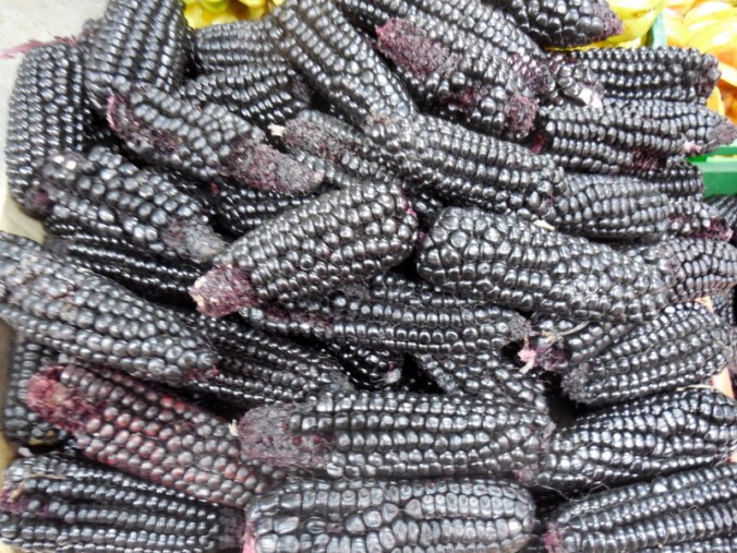 Purple corn