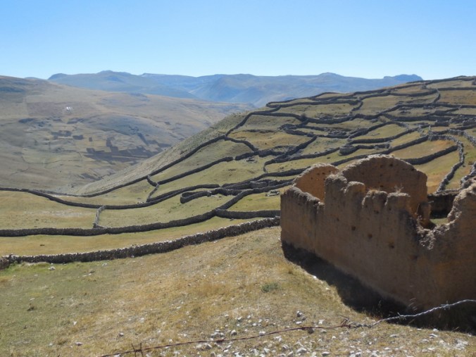 Rock fences in the Andes