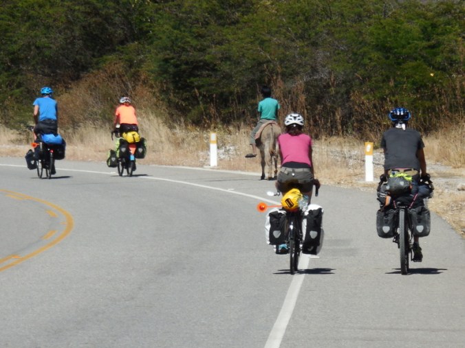 The bunch plus donkey