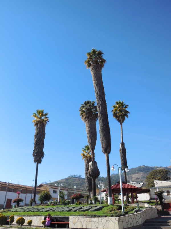 Curahuasi Plaza de Armas 1