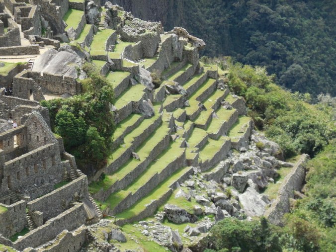 Machu Picchu terraces1