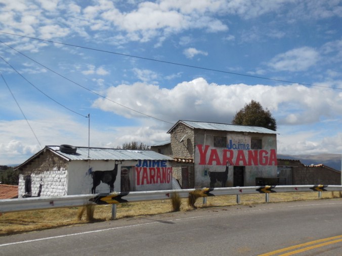 This llama candidate is everywhere 3