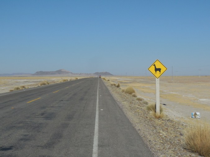 Alpaca warning sign 1