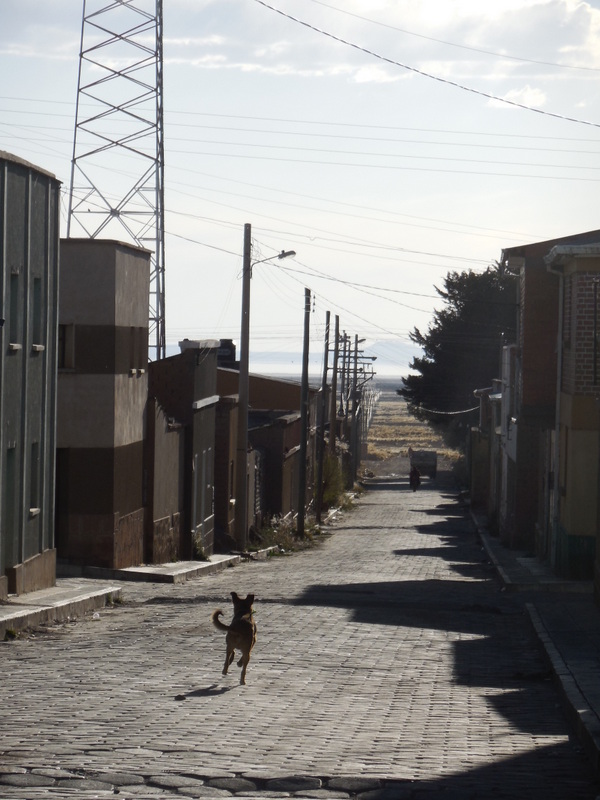 Huari street with dog