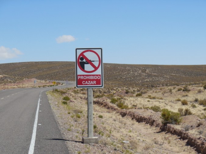 No shooting sign with no bullet holes - nice