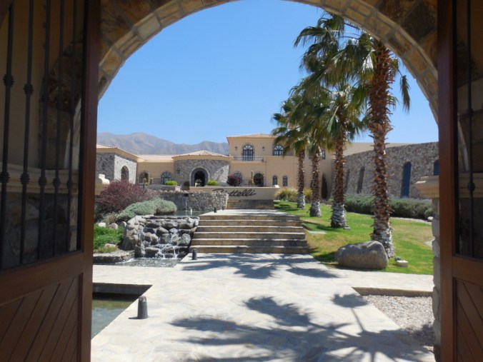 Piattelli vinyards 1