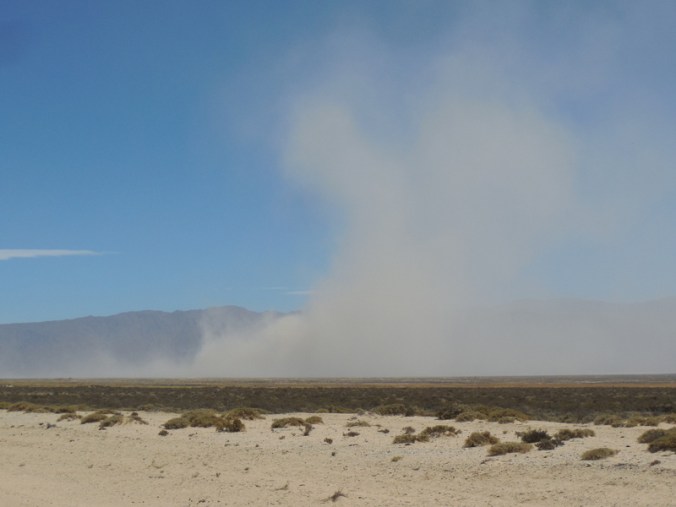 Sand strom brewing 1