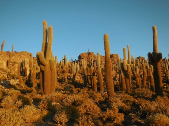 Sunset on the island 2