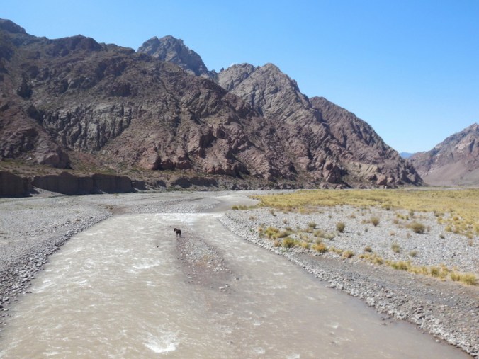 Mendoza river view 1