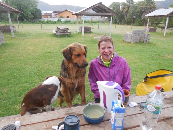 Nancy and new friends n the morning