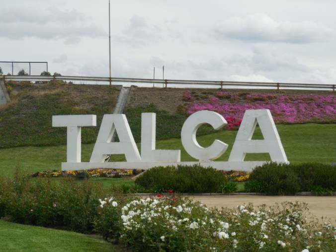 Talca, made it