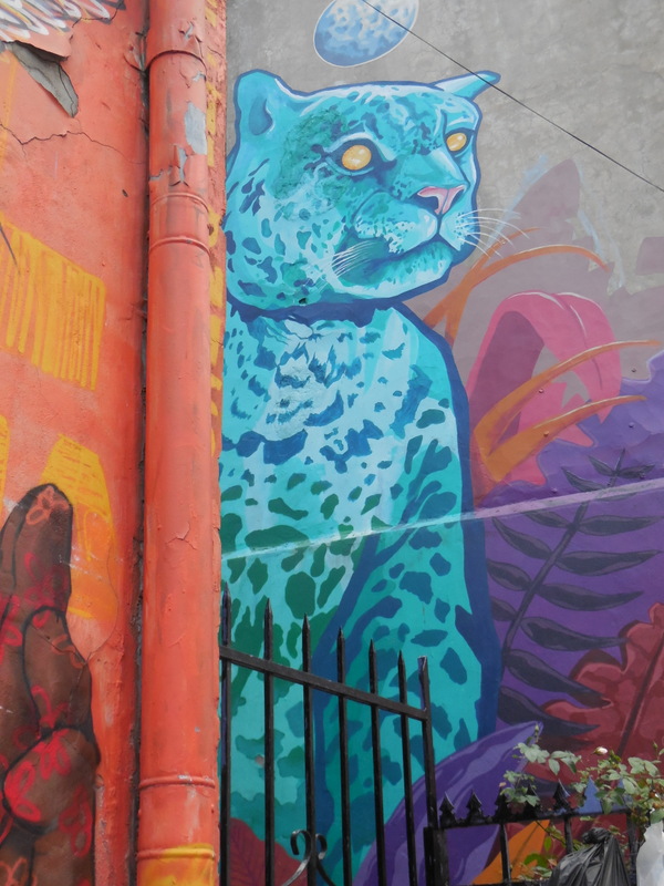 Valparaiso grafitti 7 (2)