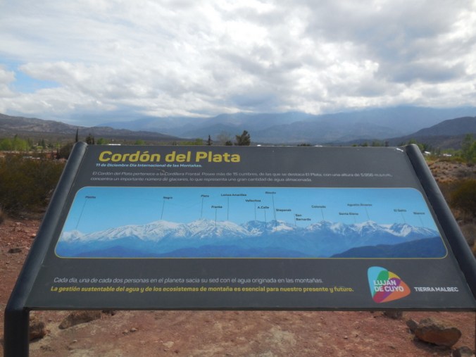 What we would have seen