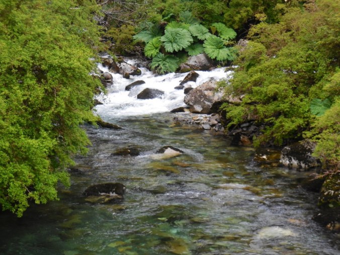 Chilean river 2