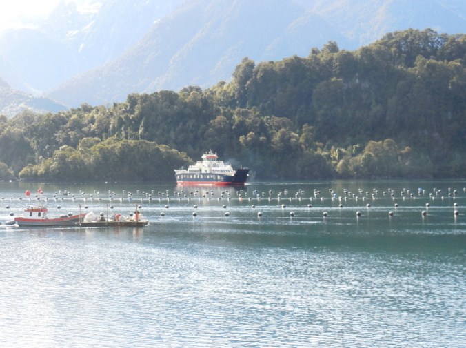 Hornopirén Harbour morning 8