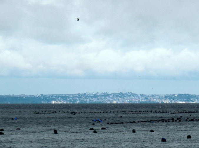Puerto Montt in the distance